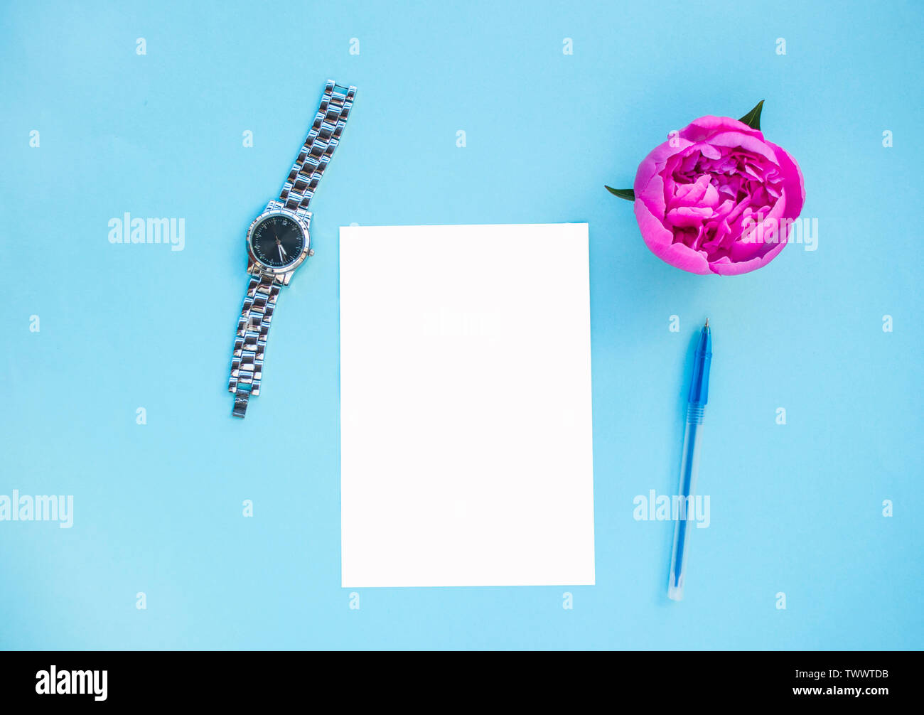 Flach der schönen rosa Pfingstrose auf blauem Hintergrund mit Kugelschreiber, Uhren und weiß isoliert Papier. Stockfoto
