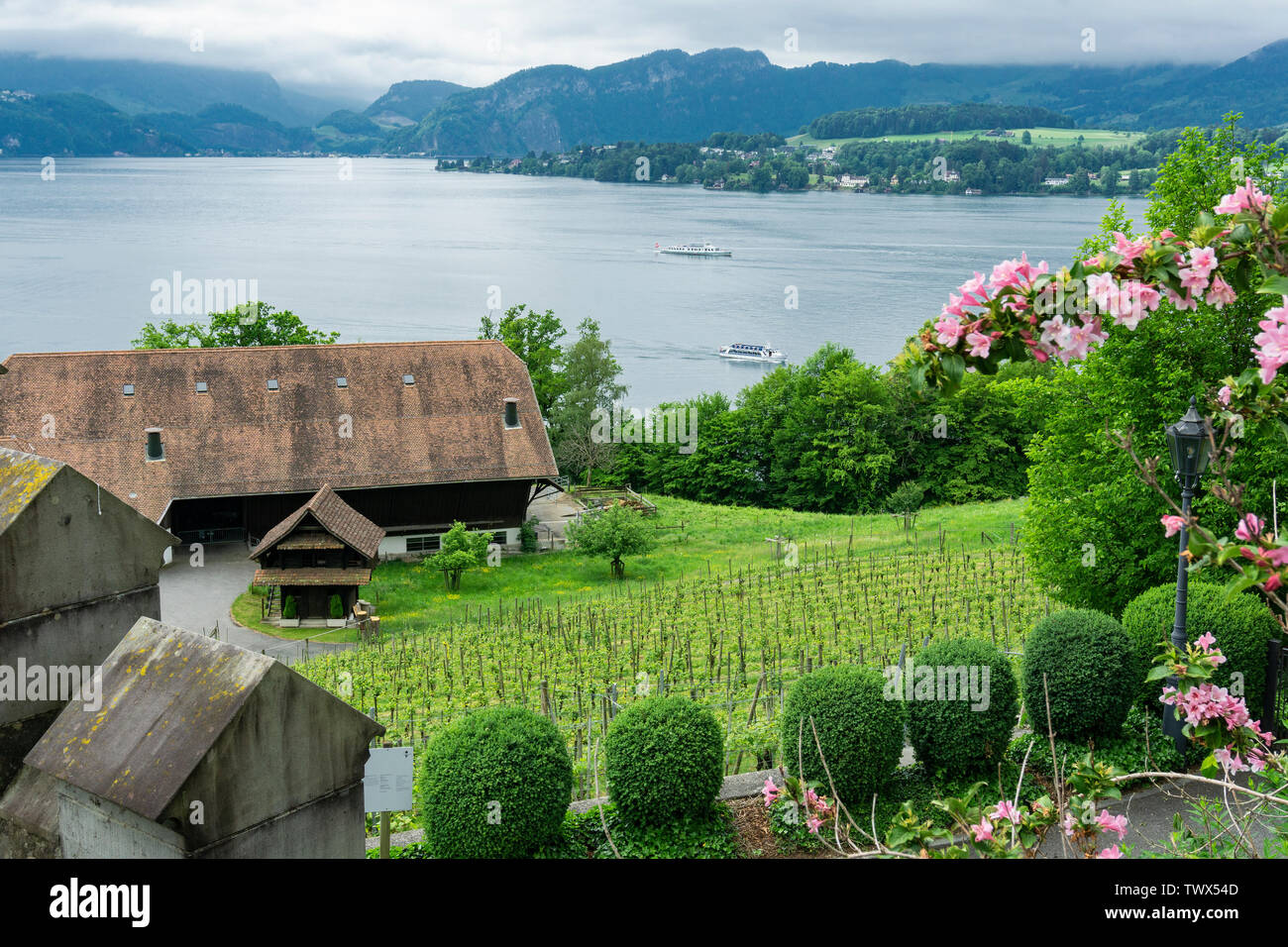 Blick auf den Vierwaldstättersee, Schweiz. Stockfoto