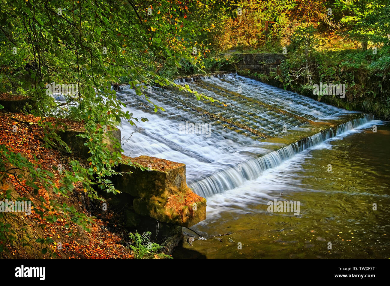 UK, South Yorkshire, Sheffield, Fluss Loxley, niedrige Matlock Rad Wehr Stockfoto