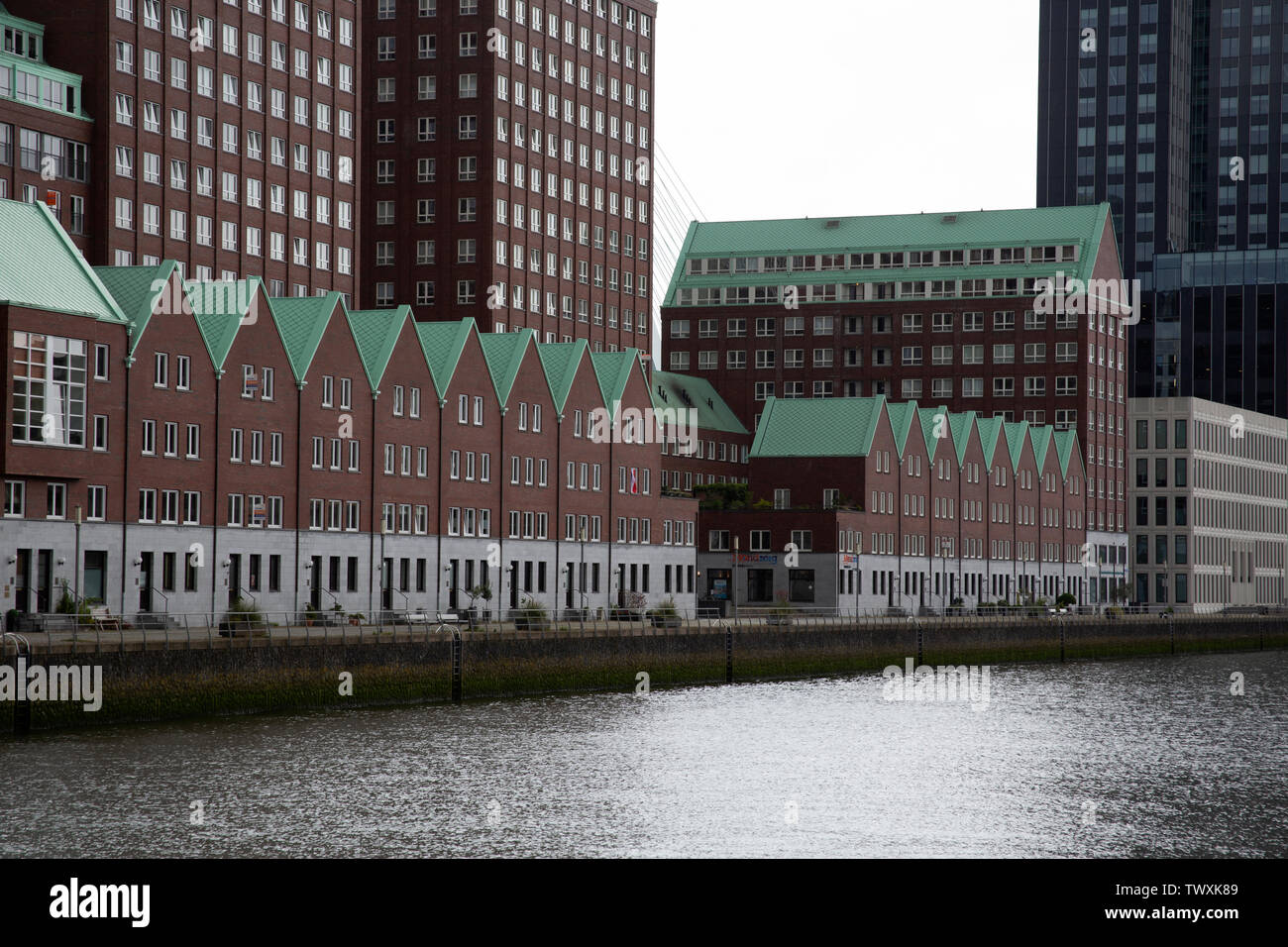 Reihe von gleichen grün-roofed Häuser entlang der Uferpromenade in Rotterdam, Niederlande Stockfoto