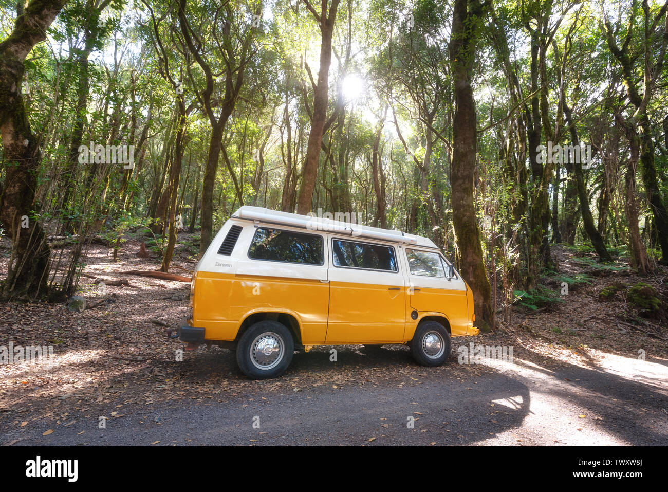 La Gomera, Spanien - Januar 16, 2016: Klassische Reisemobile Volkswagen T2 Transporter auf der Straße in einem grünen Wald. Stockfoto