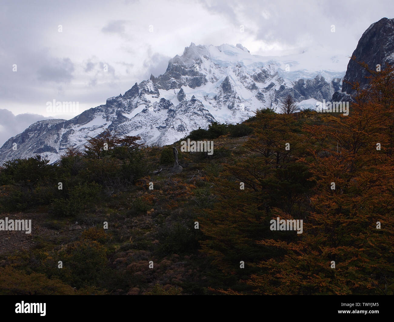 Unberührte Lebensraum im Torres del Paine Nationalpark, chilenischen Patagonien Stockfoto