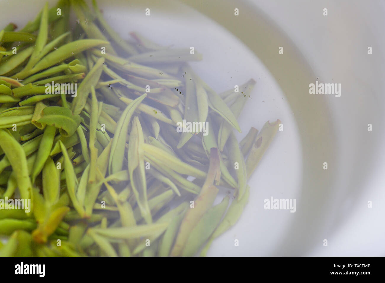 Spezielle hochwertige einzelne Knospe vor Mao Jian in Xinyang Stockfoto