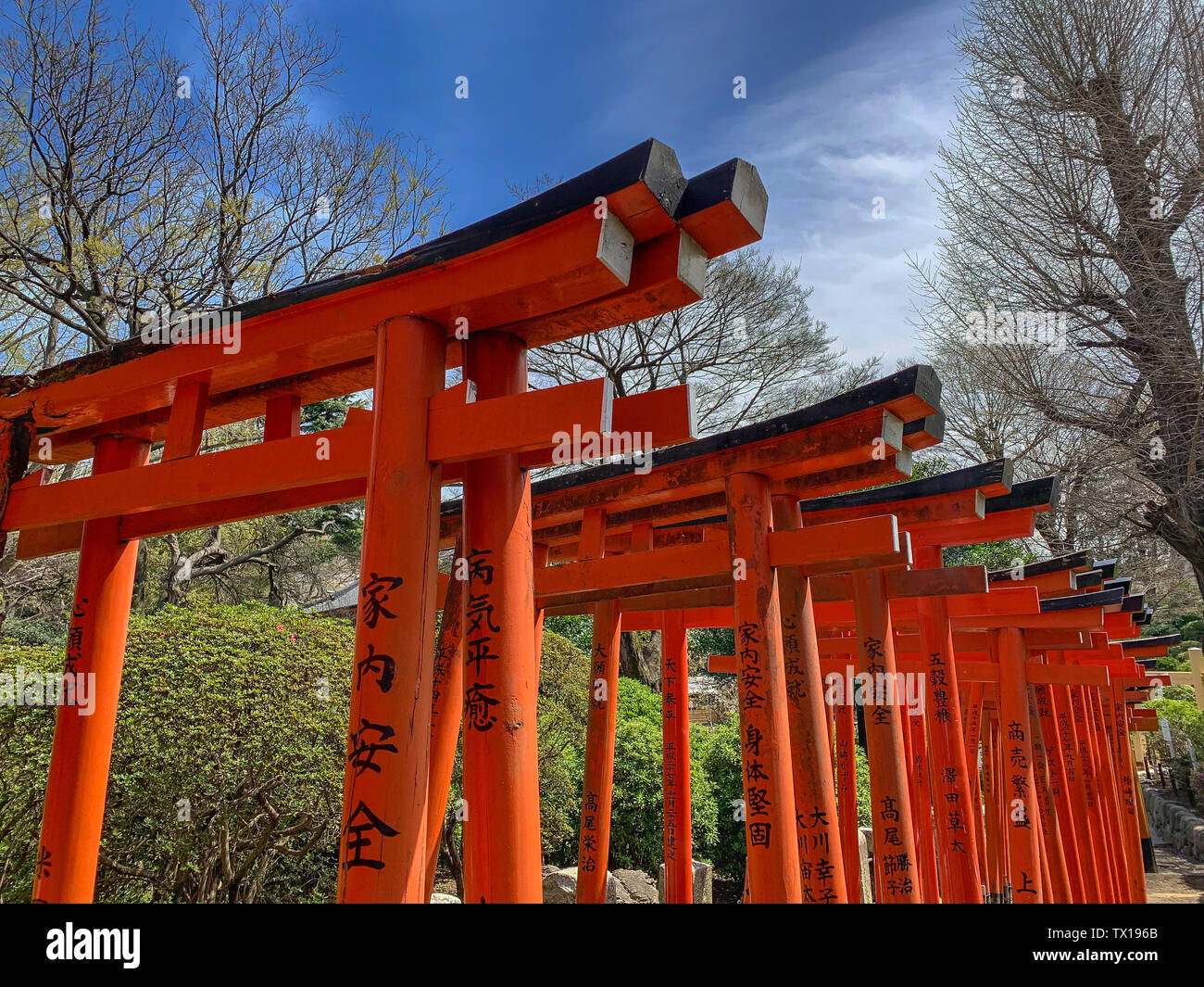 Rote Torii Gates im Nezu Schrein form Korridore der Eingangsbereich Mark und symbolischen Übergang von der irdischen Welt, eine Heilige Stockfoto