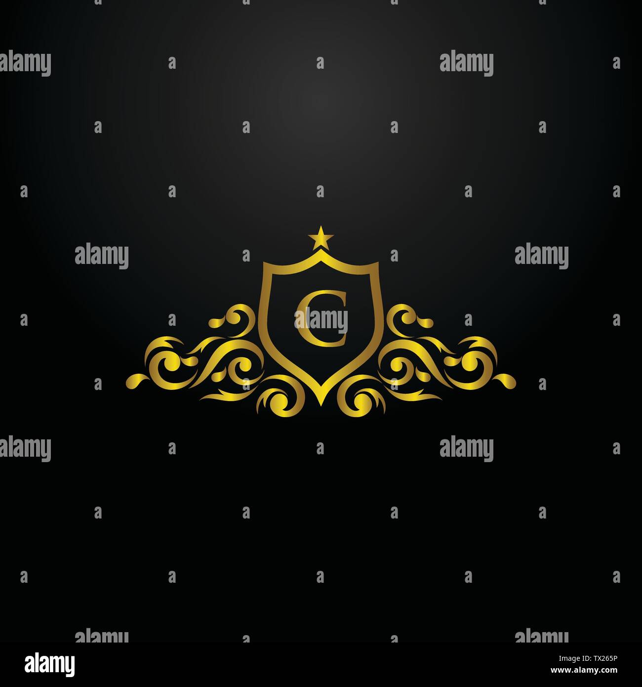 Luxus Shield Logo, klassische und elegante Logo Designs für Industrie und Gewerbe, heraldische Wappen Logo, Logo, dekorative Logo, ornament Logo, Logo, Stock Vektor