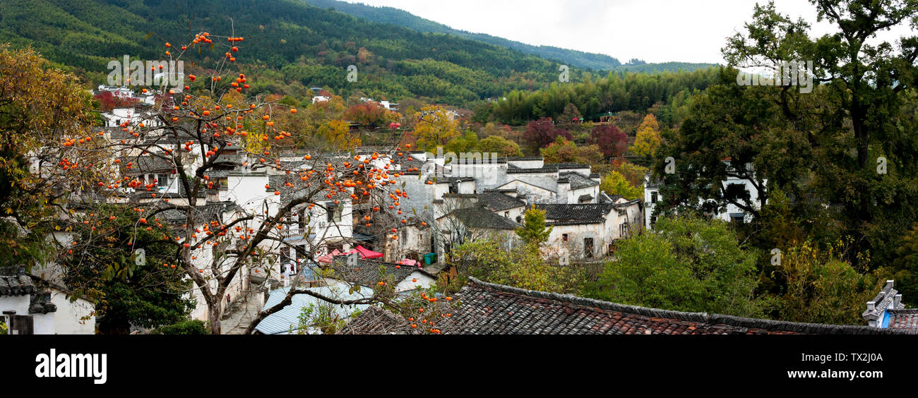 Tagawa Herbst Farbe Stockfoto