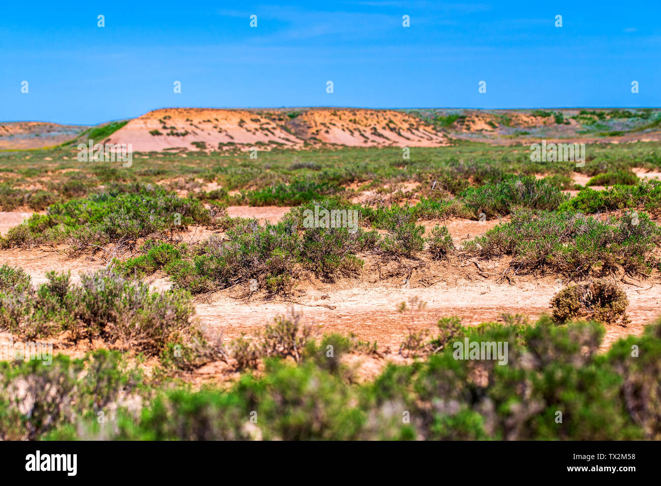 Landschaft mit trockenen geknackt takir Boden in Halbwüste in Russland Stockfoto
