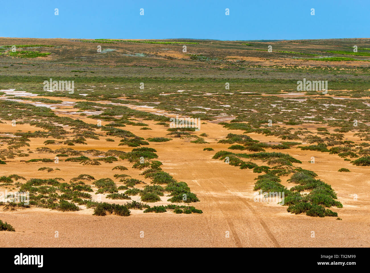 Landschaft mit trockenen geknackt takir Boden in Halbwüste in Russland Stockfoto