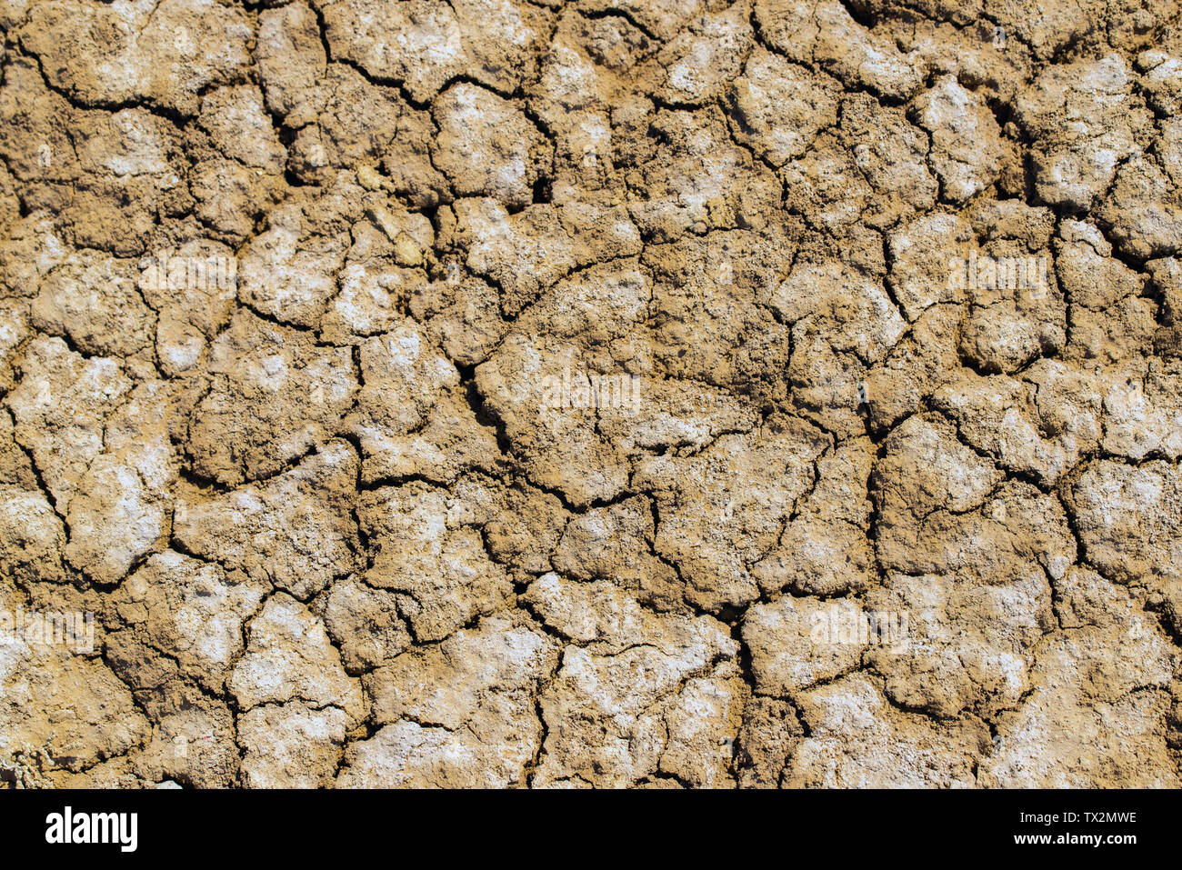 Textur Hintergrund von takir Boden in der Wüste. Stockfoto