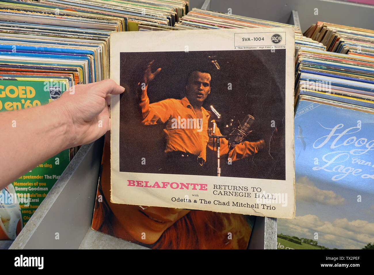 Album: Belafonte - Rückkehr zur Carnegie Hall Stockfoto