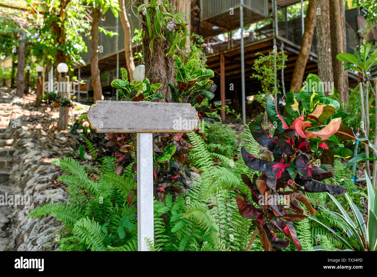 Holz- leeres Namensschild in Flora Garten Dekoration Stockfoto
