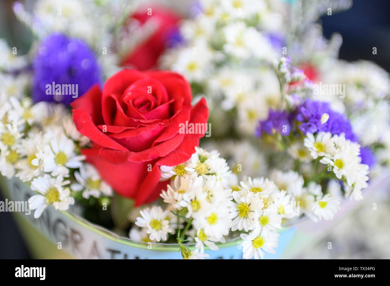 Close-up Red Rose Bouquet auf weiße Blume Hintergrund Stockfoto