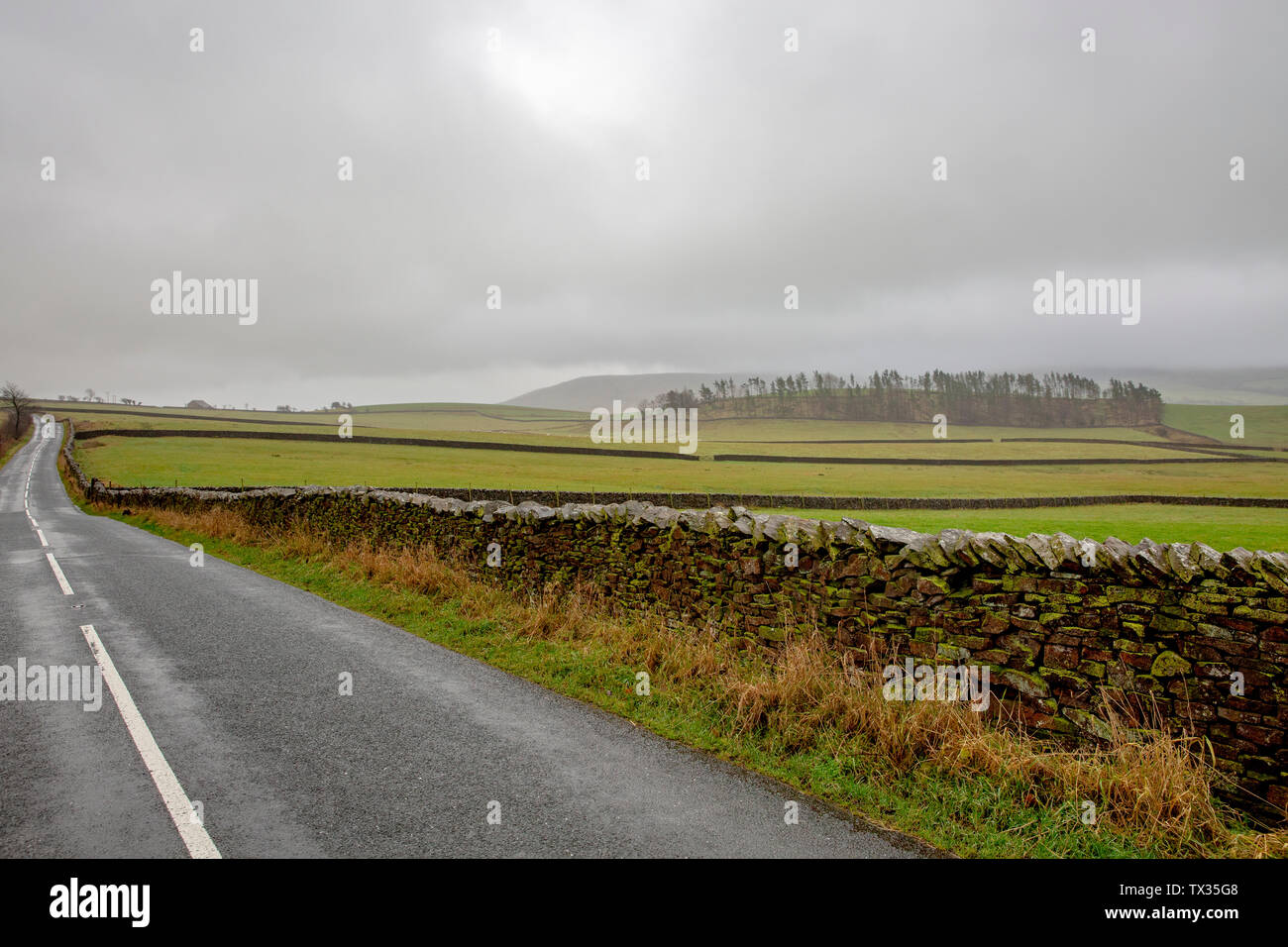 Wald von Bowland Landschaft in Lancashire an einem nebligen nebeliger Morgen im Winter, Lancashire, England Stockfoto