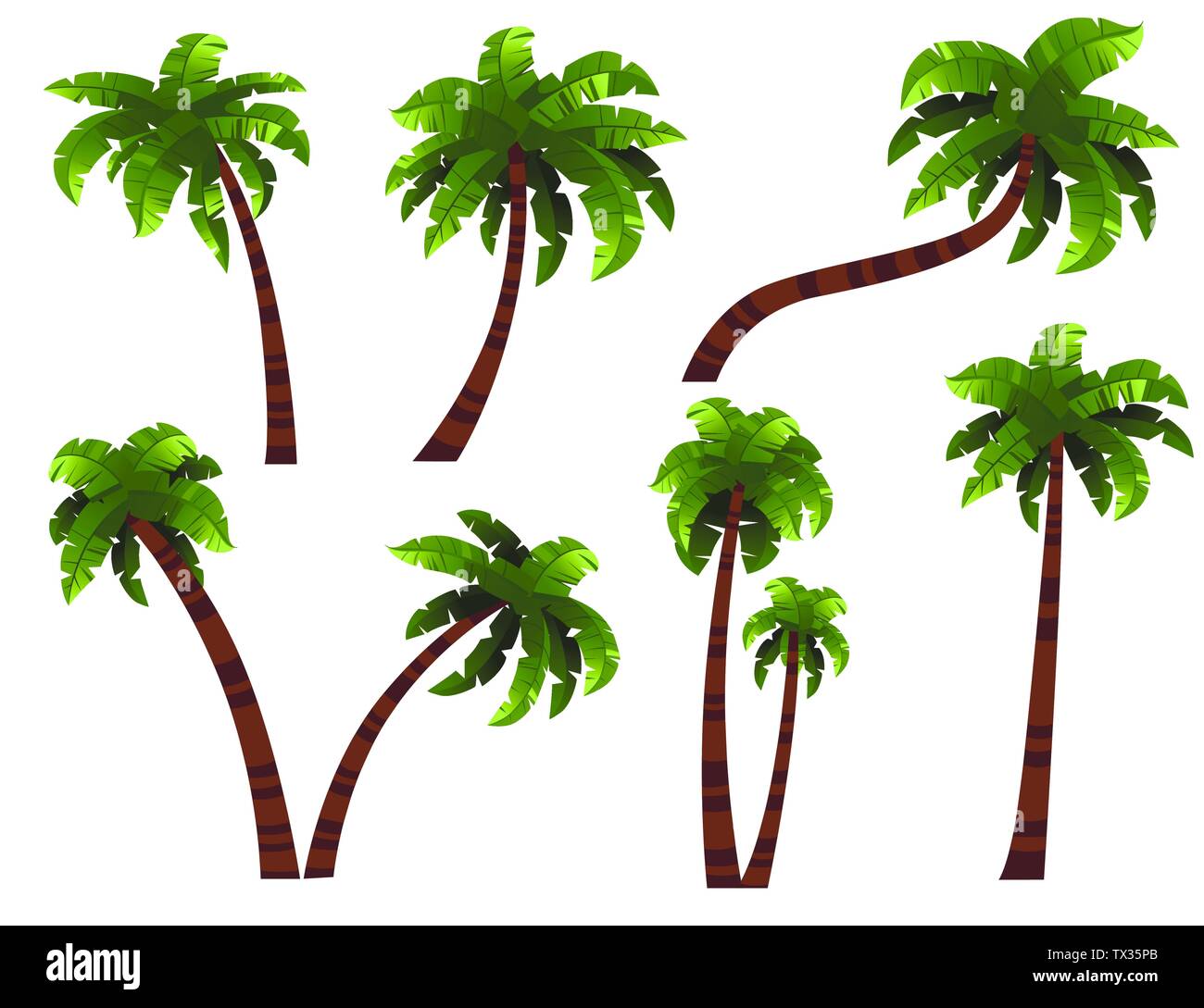 Satz von Palmen mit unterschiedlichen Trunks flachbild Vector Illustration auf weißem Hintergrund. Stock Vektor