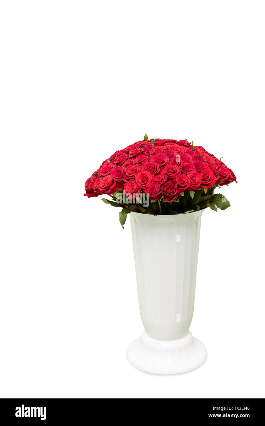 Blumenstrauß aus roten Rosen in Vase auf weißem Hintergrund. Stockfoto
