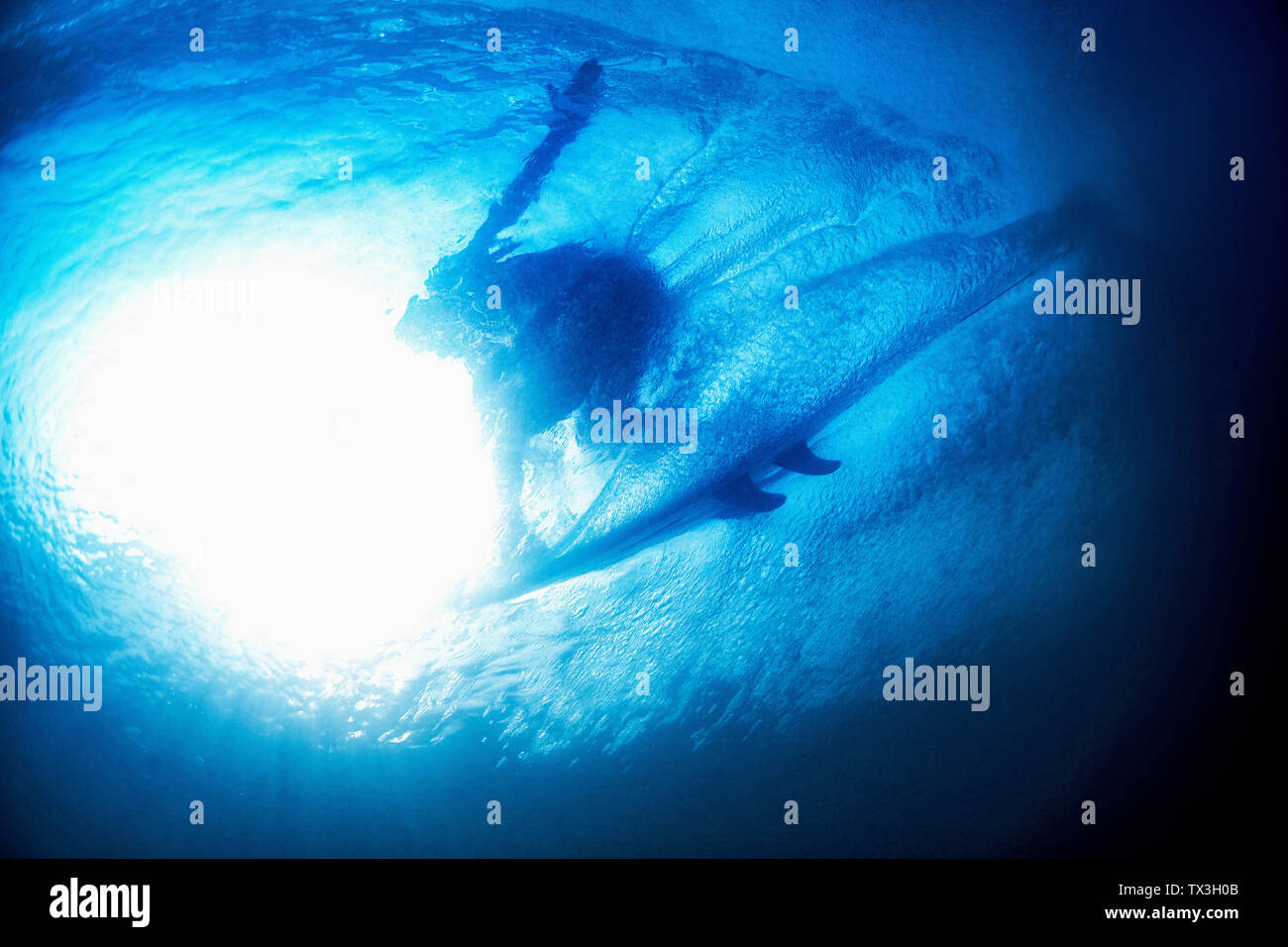 Unterwasseransicht Sonnenschein über Surfer Stockfoto
