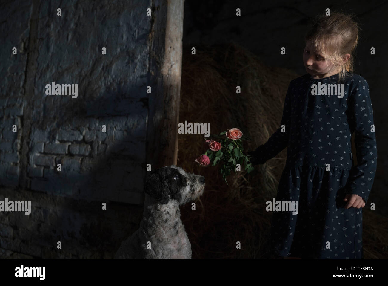 Mädchen mit Blumen zu den neugierigen Hund in der Scheune Stockfoto