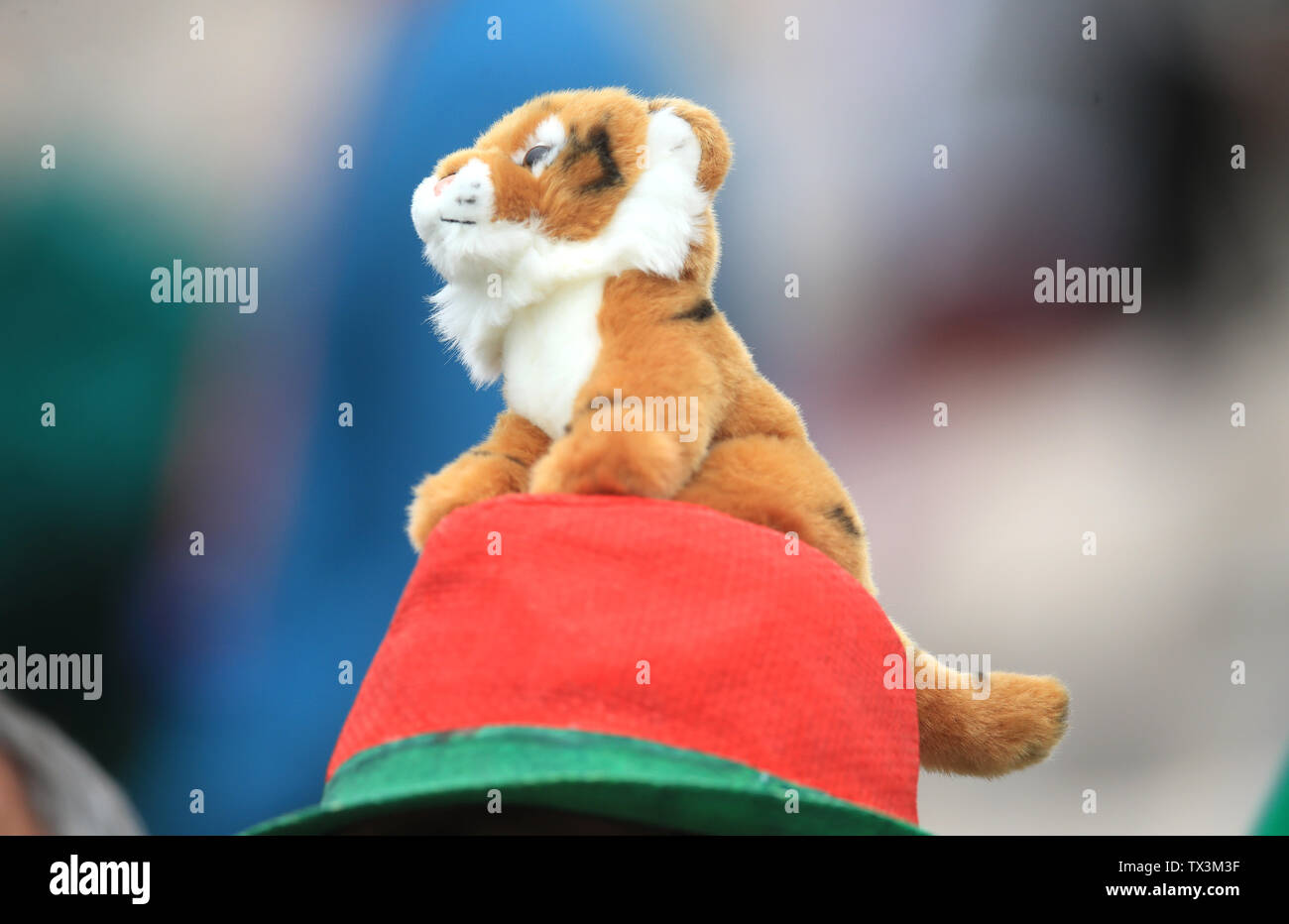 Ein bangladesch Ventilator trägt einen Tiger hat während der ICC Cricket World Cup group stage Gleiches an der Schüssel, Southampton, Hampshire. Stockfoto