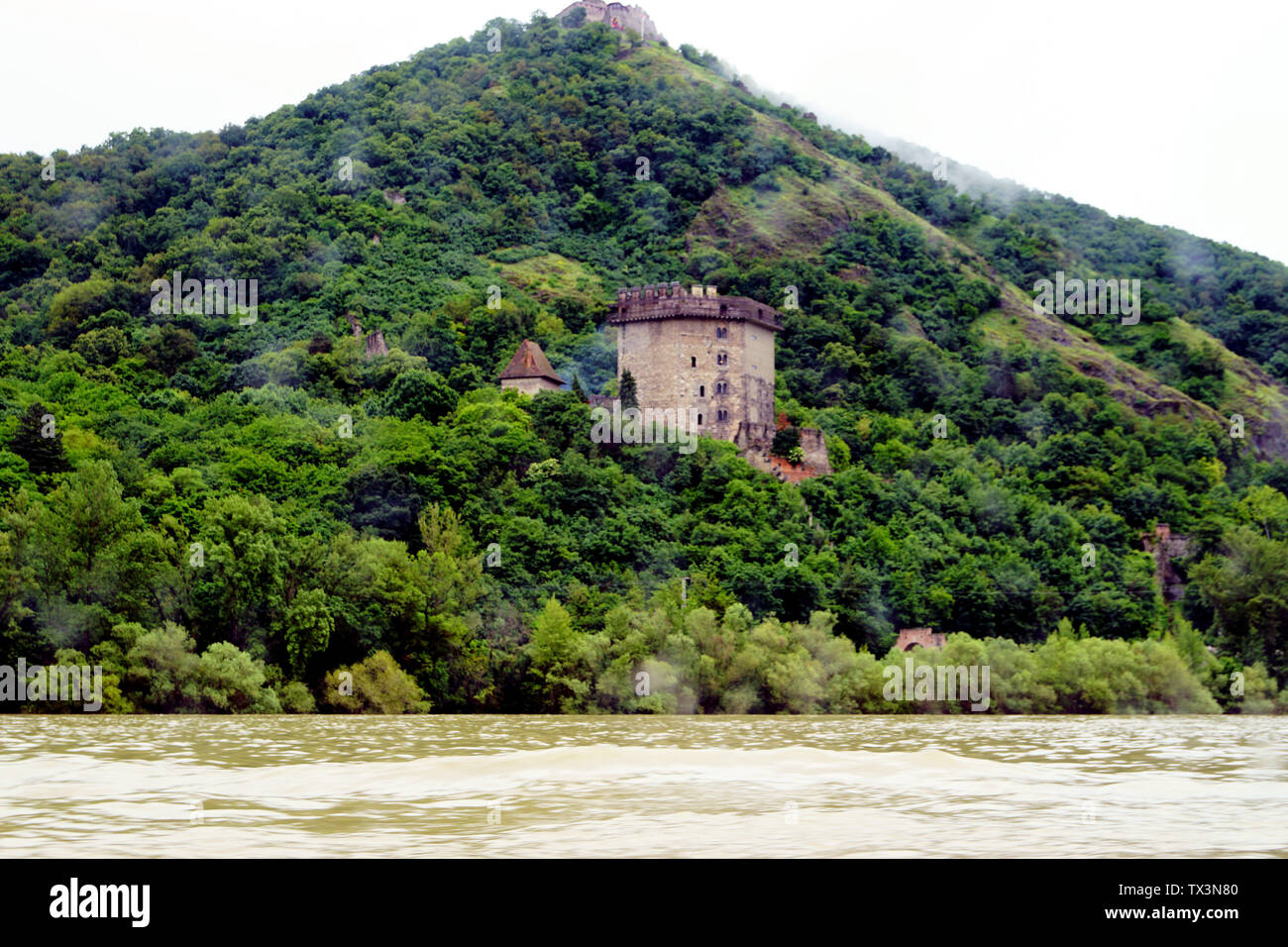 Eine alte Burg hoch über der Donau, Ungarn Stockfoto