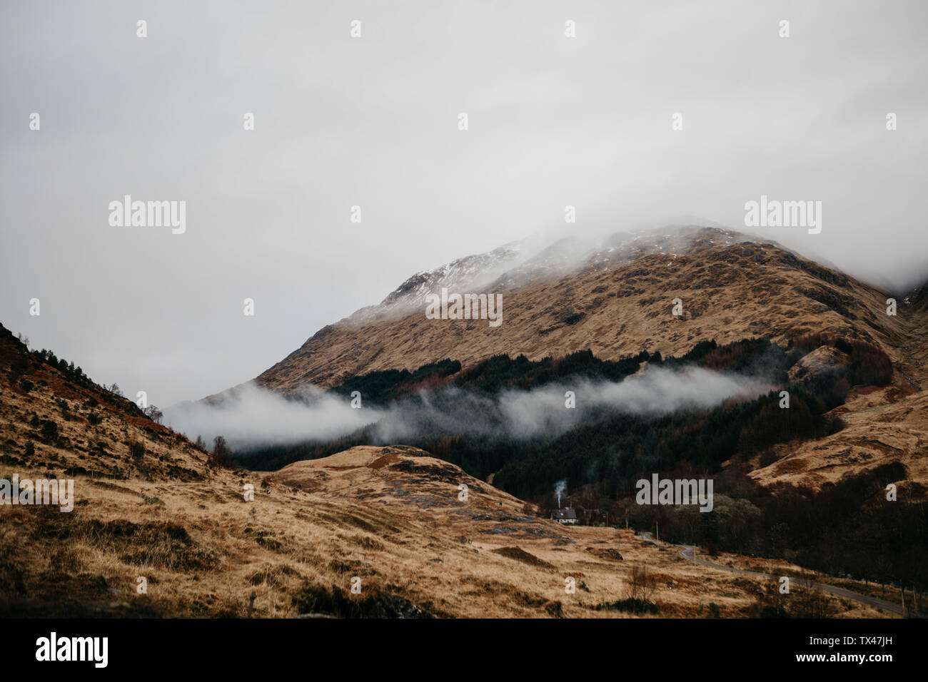 Großbritannien, Schottland, Highlands, neblige Landschaft Stockfoto