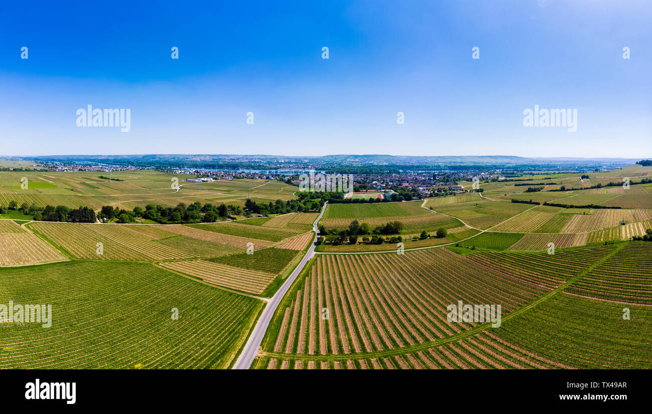 Deutschland, Hessen, Oestrich-Winkel, Rheingau, Luftaufnahme von Schloss Vollrads, vine Yards Stockfoto