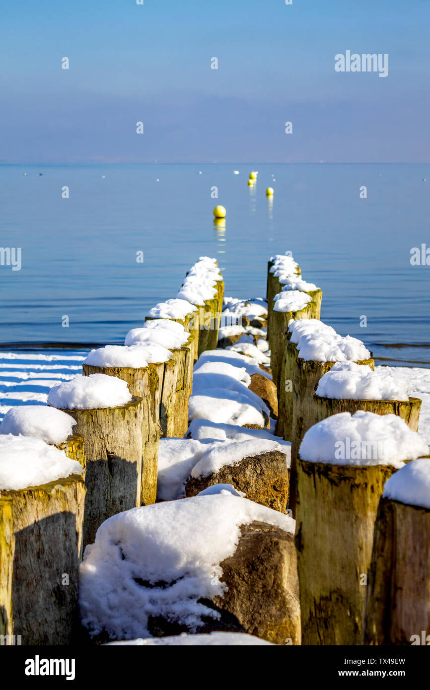 Schweiz, Arbon, Bodensee, Holz- Stangen am Seeufer im Winter Stockfoto