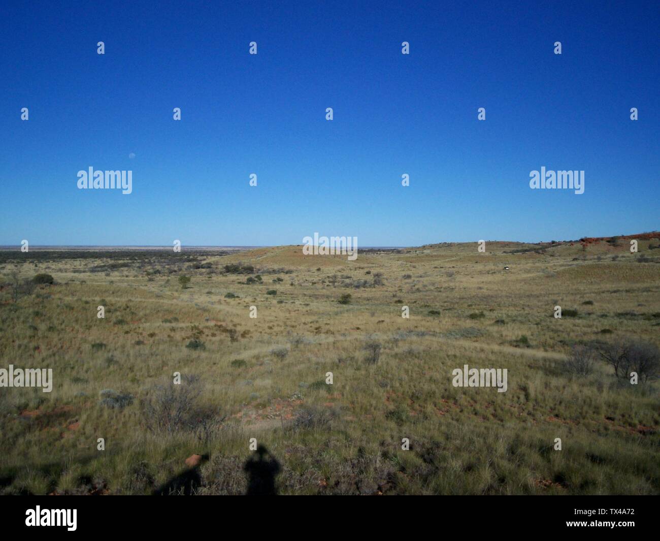 Foto aus einem der höchsten Teile der Alfred und Marie Range in der Gibson Desert und gibt eine typische Vorstellung davon, wie die allgemeine Landschaft aussieht (dh meist Spinifex); 28. Juni 2007; Eigene Arbeit (Originaltext: Selbstgemacht); Gazjo; Stockfoto