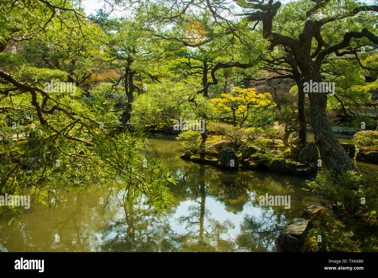 Japan, Kyoto, Natur rund um Ginkaku-ji Tempel Stockfoto