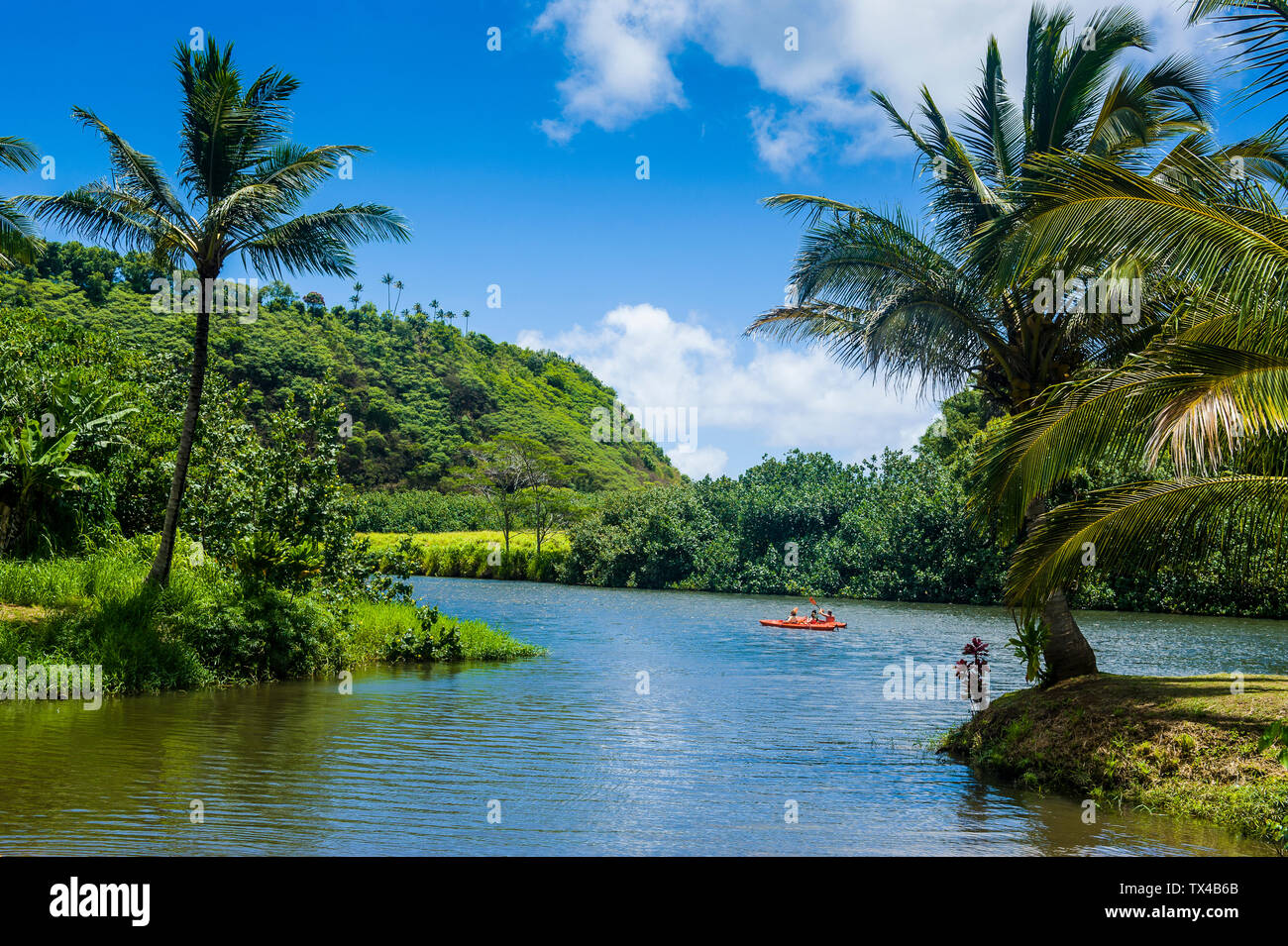 USA, Hawaii, Kauai, Wailua River Stockfoto