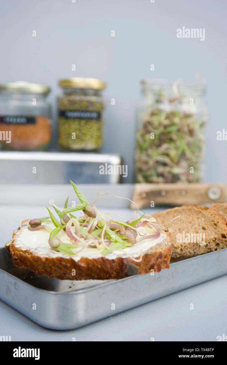 Korn Sandwich mit mung Sprossen Stockfoto