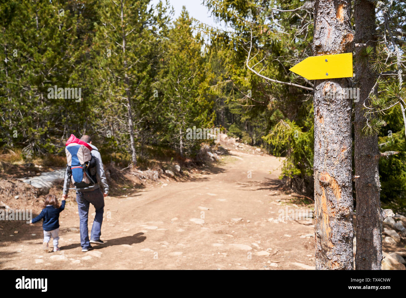 Frankreich, Pyrenäen, Rückansicht des Vaters wandern Hand in Hand mit seiner kleinen Tochter Stockfoto