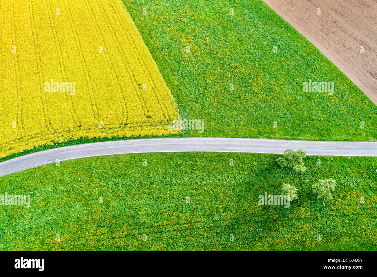 Deutschland, Baden-Württemberg, Rems-Murr-Kreis, Luftaufnahme der Felder im Frühling Stockfoto