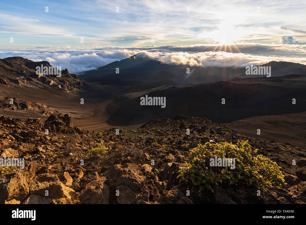 Krater des Haleakala Vulkan Haleakala National Park, Florida, USA Stockfoto