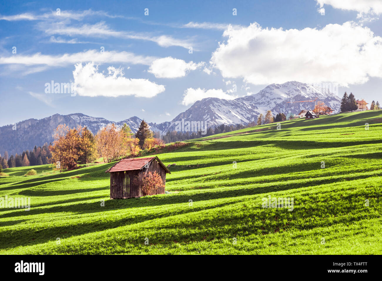 Italien, Trentino Alto-Adige, Vigo di Fassa, Scheune auf almwiese Stockfoto