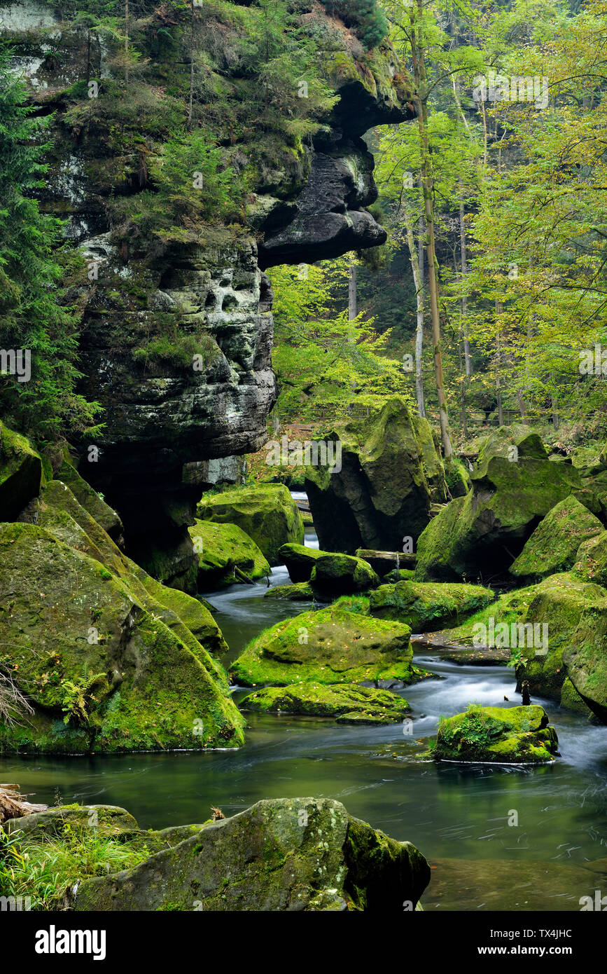 Tschechische Republik, Böhmische Schweiz, Ticha Souteska in der Nähe von Hrensko, Fluss Kamnitz in der Edmundsklamm mit Moos bedeckt Sandsteinfelsen Stockfoto