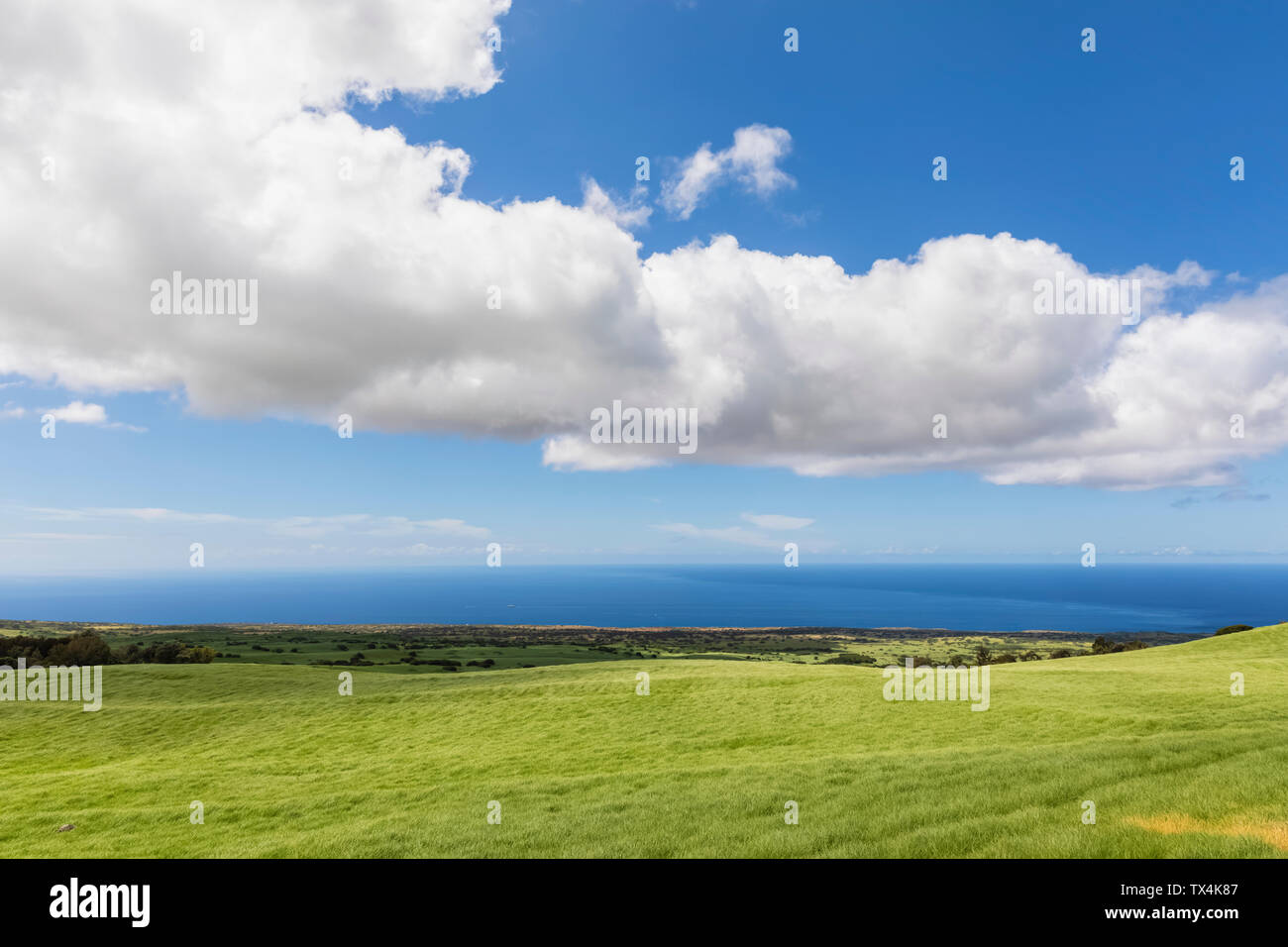 USA, Hawaii, Big Island, Blick über Kohala Berg Stockfoto