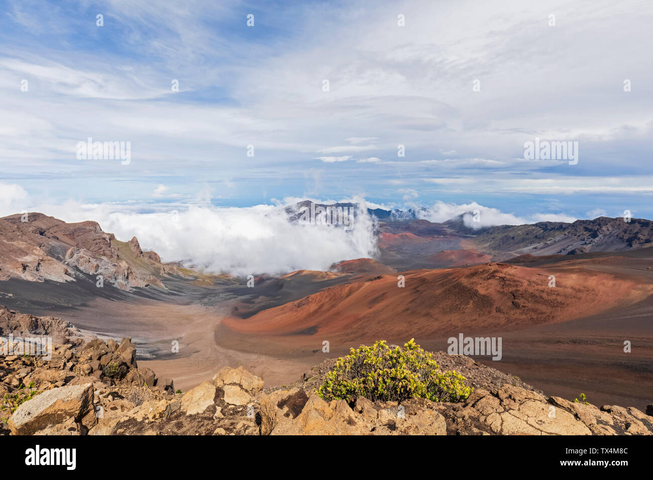 Krater des Haleakala Vulkan Haleakala National Park, Florida, USA Stockfoto