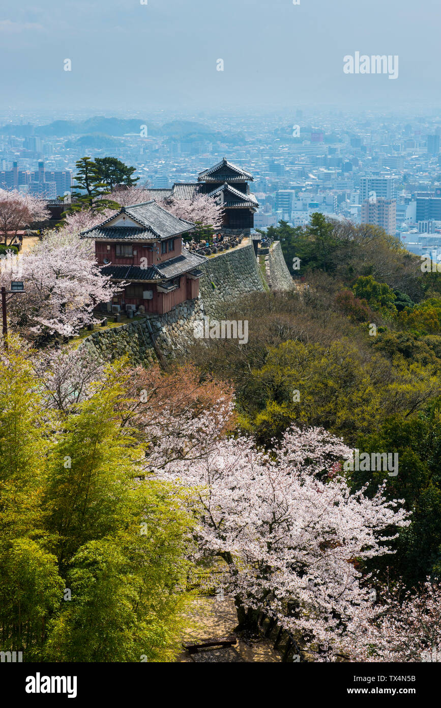 Japan, Shikoku, Matsuyama, Matsuyama Castle am Kirschblüte Stockfoto