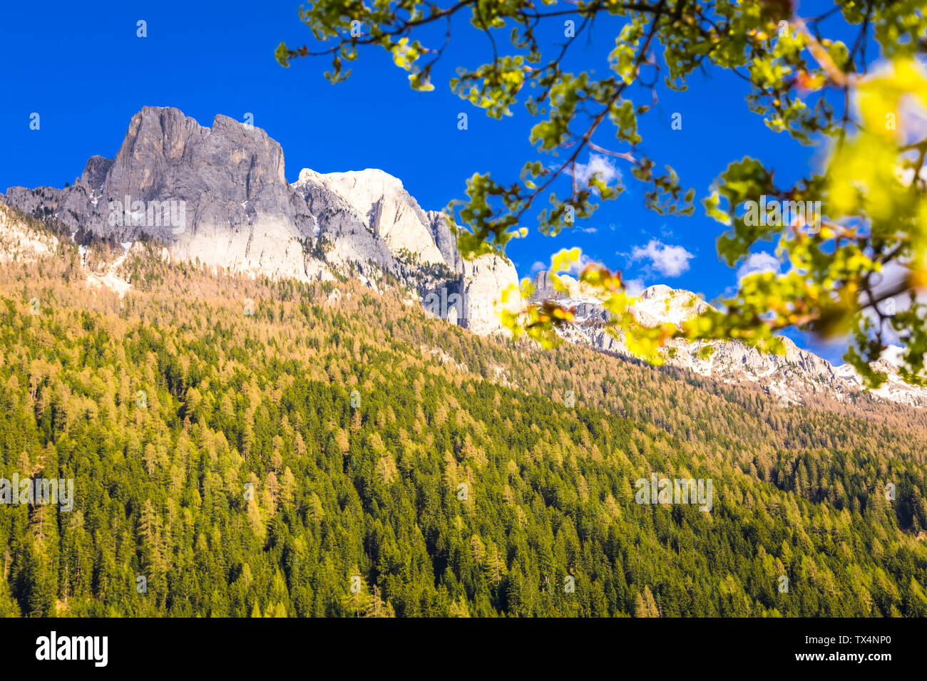 Italien, Trentino Alto Adige, Vigo di Fassa, Dolomiten Stockfoto