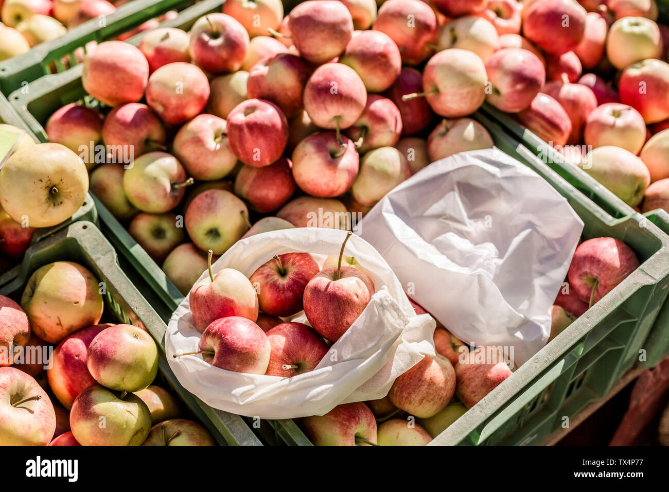 Stoffbeutel und Plastikbeutel auf Kisten mit Äpfeln auf Wochenmarkt Stockfoto