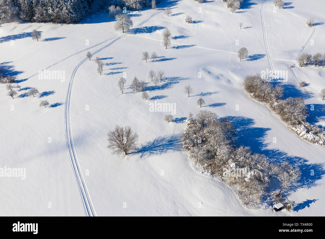 Deutschland, Bayern, Wolfratshausen, Loipe in der Nähe von Golfplatz im Winter, Luftaufnahme Stockfoto