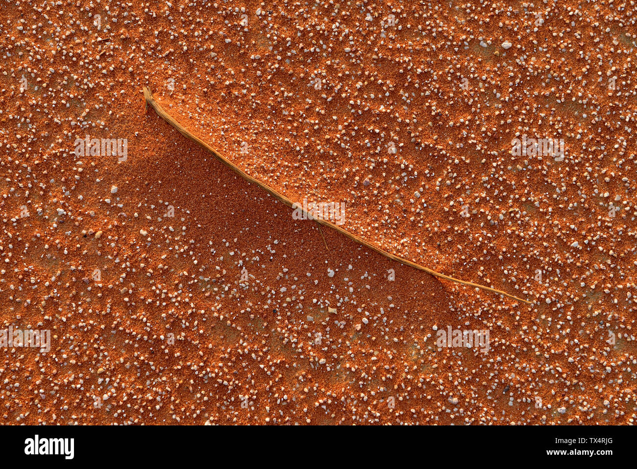 Vereinigte Arabische Emirate, Rub' al Khali, Wüstensand und getrocknete Gras Stockfoto