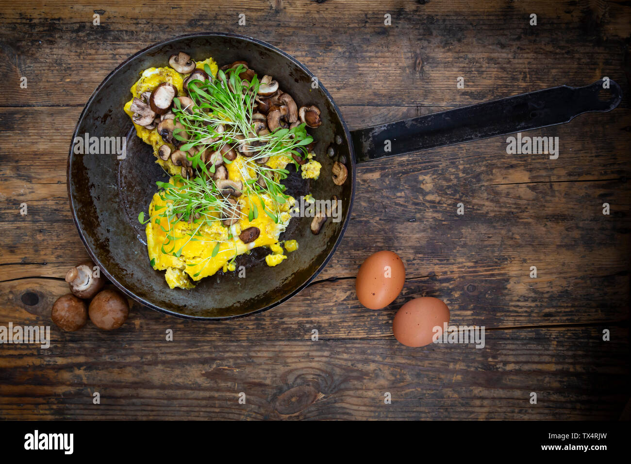 Omelette mit Champignon und frische Kresse in Pan Stockfoto
