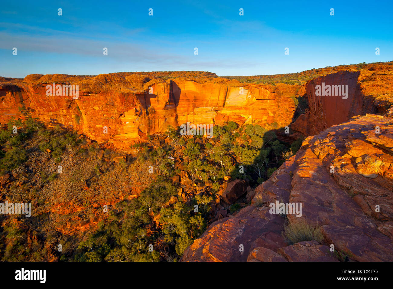 Kings Canyon, Watarrka National Park, Northern Territory, Australien Stockfoto