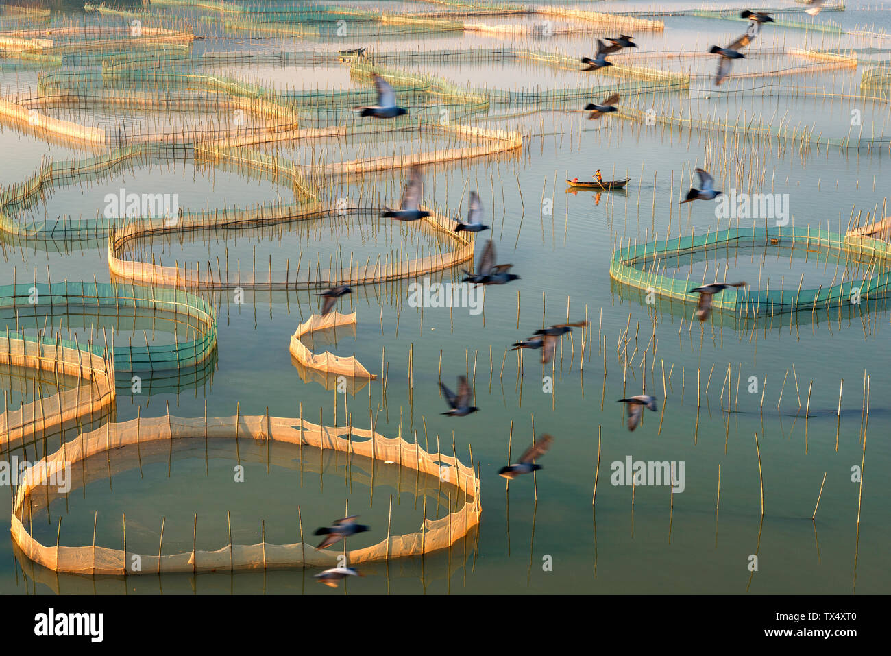 In Fuding Stadt, Provinz Fujian fotografiert. Stockfoto