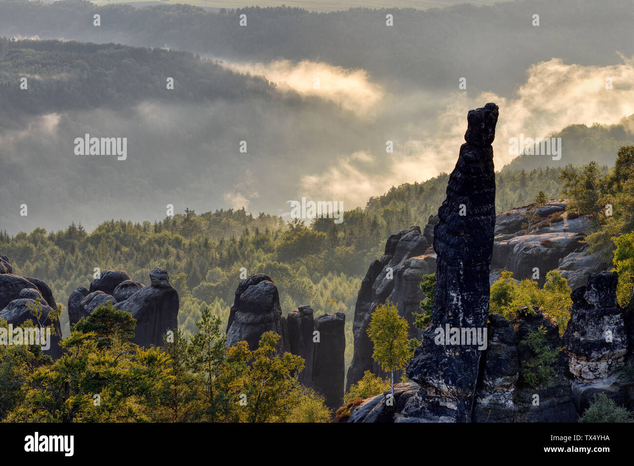 Deutschland, Sachsen, Elbsandsteingebirge, Felsen und Nadeln der Schrammsteine mit Hintergrundbeleuchtung Stockfoto