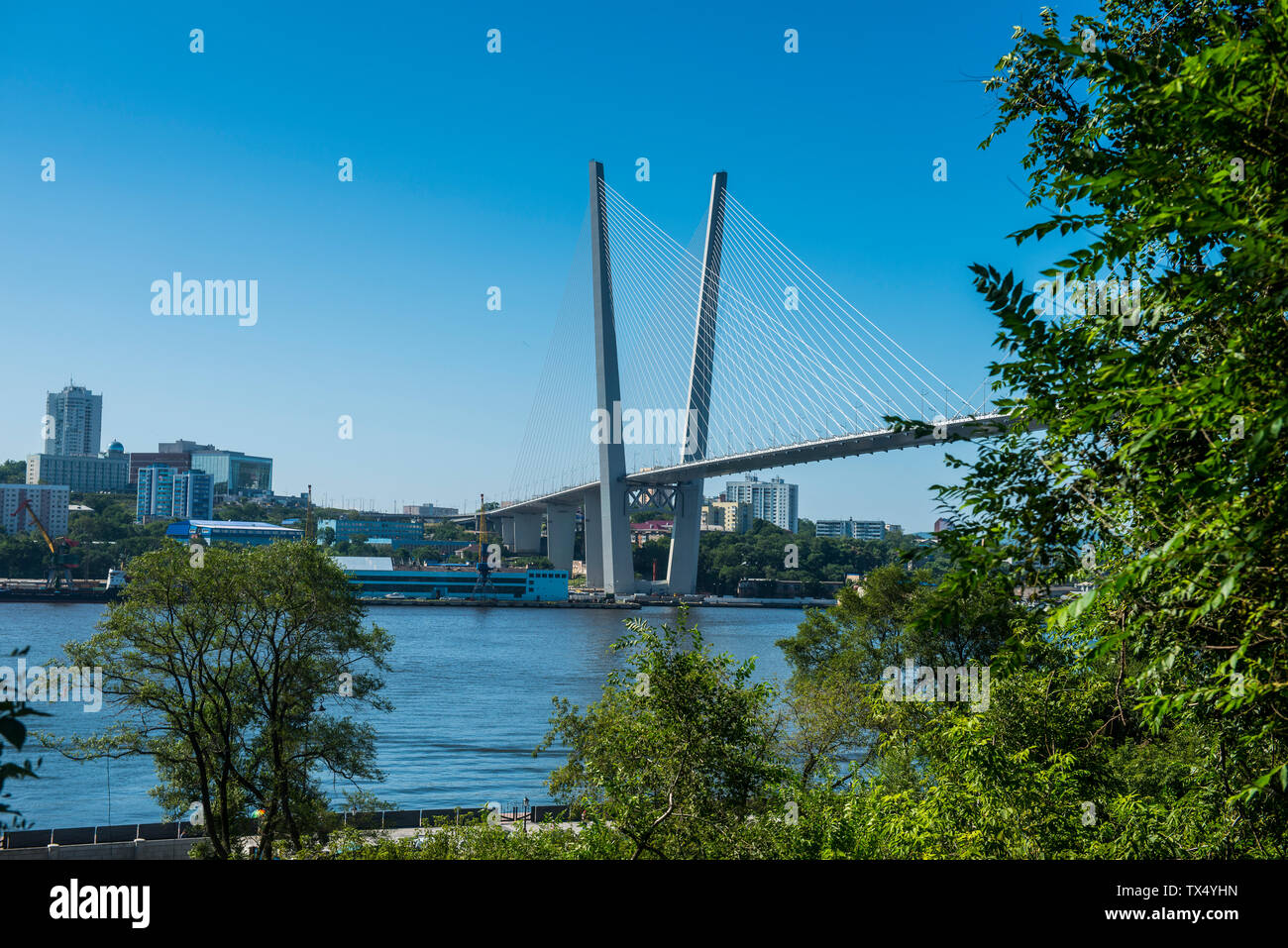 Die neue Zolotoy Brücke in Wladiwostok, Russland Stockfoto