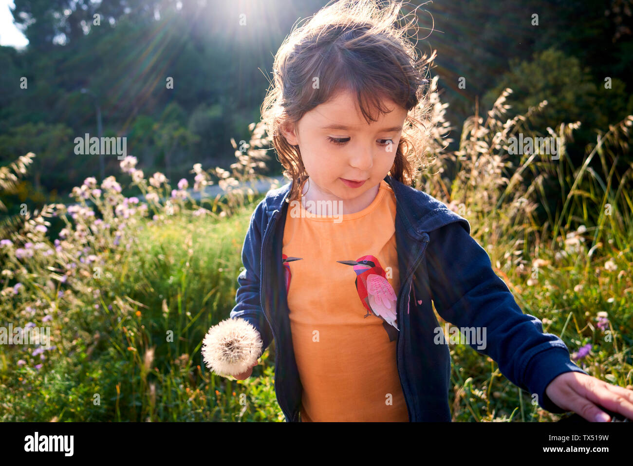 Portrait von Kleinkind Mädchen mit blowball in der Natur Stockfoto