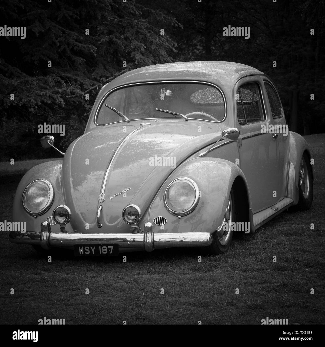 Ein klassischer Volkswagen-Käfer auf der Caffeine & Machine in Ettington, Großbritannien Stockfoto