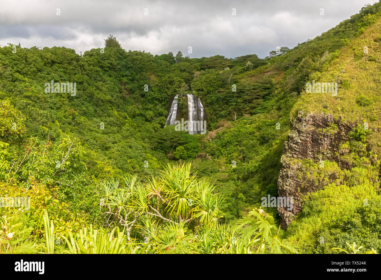 USA, Hawaii, Kauai, Wailua State Park, Aussichtspunkt für Opaekaa Falls Stockfoto